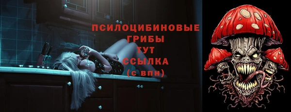 МДПВ Шали